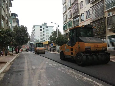 新田社區(qū)道路“白改黑”提質(zhì)改造工程加速推進，通訊工程同步提升基建品質(zhì)